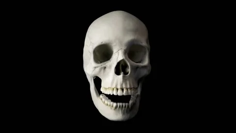 Cut-Out Skull Talking Loop With Alpha Channel