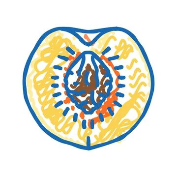 Cut peach pit icon doodle illustration イラスト素材