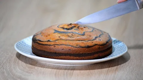 Cut a piece of the cake Zebra Stock Footage 81905802