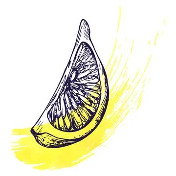 A cut piece of lemon with yellow splashes. Graphic botanical illustration hand Stock Illustration