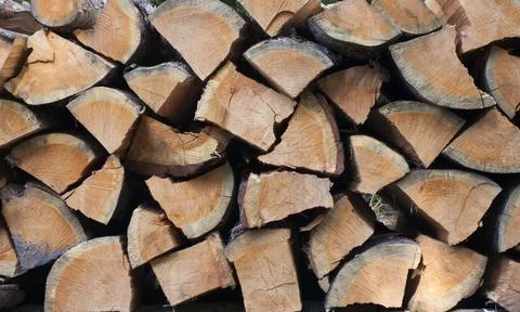 Cut pieces of wood. Texture , background Stock Photos