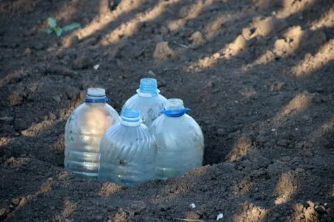 Cut plastic bottle covers for vegetable seedlings to keep humidity Stock Photos