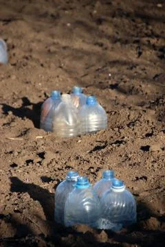 Cut plastic bottle covers for vegetable seedlings to keep humidity Stock Photos