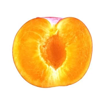 Cut plum on a white background Foto stock