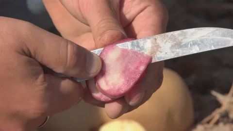 Cut potato fruit with a knife Stock Footage 116487925