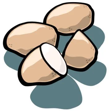 Cut Potatoes Stock Illustration