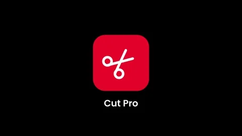 Cut Pro Media Editor Stock Footage 334471154