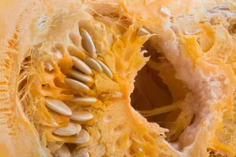 The cut pumpkin 스톡 사진