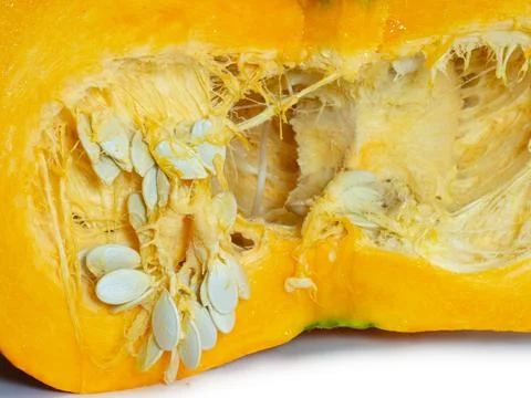 Cut pumpkin on a white background. Pumpkin isolate. Vegetable cut in half. .. Stock Photos
