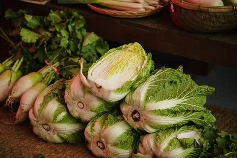 Cut raw cabbage cross section Stock Photos