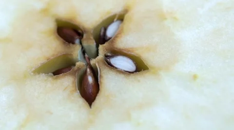 Cut red apple isolated rotation on white backround 動画素材 61776800