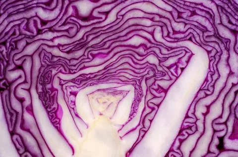 Cut red cabbage close-up. Foto stock