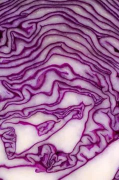 Cut red cabbage close-up. Stock Photos