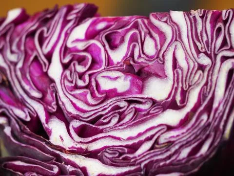 Cut of a red cabbage head Stock Photos