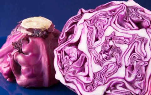Cut red cabbage Stock Photos