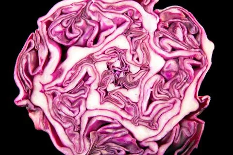 Cut red cabbage Stock Photos
