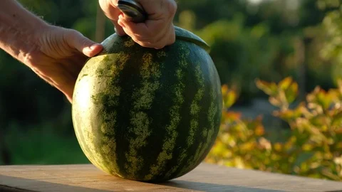 Cut ripe watermelon Video stock 95841728