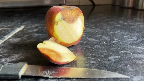 Cut Rotten Apple with Flies Hovering Over It – Horizon Landscape Video Video stock 321388475