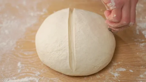 Cut Round White Dough Stock Footage 273500199