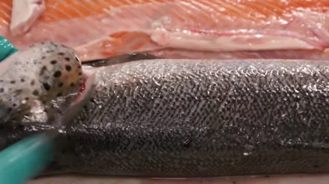 Cut off salmon head Stock Footage 36988053