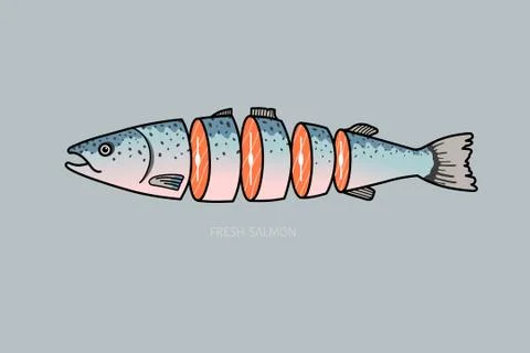 Cut salmon 스톡 일러스트