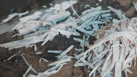 Cut Sausage articles with a knife Stock Footage 70375911