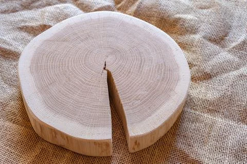 Cut slice oak. Cross section of oak on burlap background Stock Photos