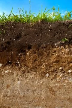 A cut of soil Stock Photos
