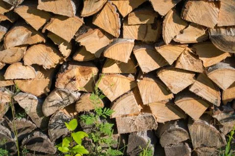Cut split stacked firewood for winter background close-up Stock Photos