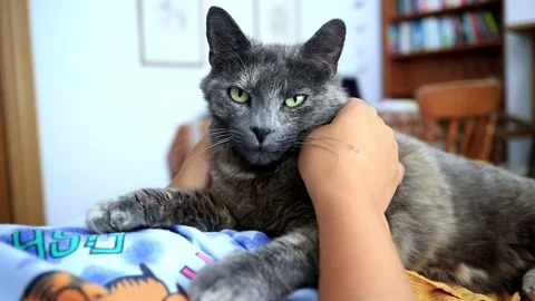 Cut Strokes Stockbeeldmateriaal 149351749