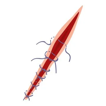 Cut suture icon cartoon vector. Skin medical surgical Stock Illustration