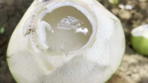 Cut Tender Coconut full of Coconut Juice Stock Footage 278782691