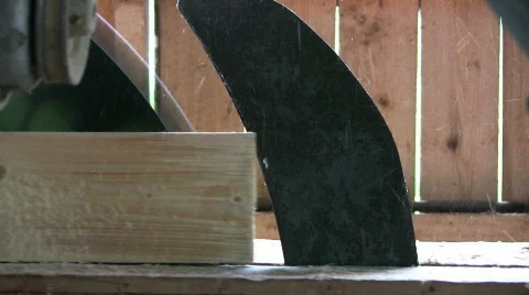 Cut timber to board Video stock 498655