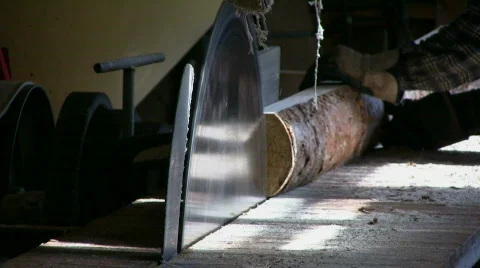 Cut timber to board Stock Footage 498724