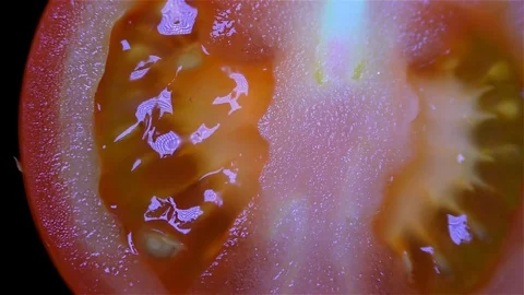 Cut Tomato Isolated on Black Background Stock Footage 91094591