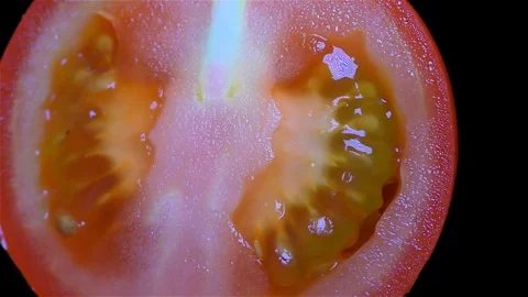 Cut Tomato Isolated on Black Background Stock Footage 91094638