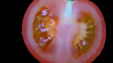 Cut Tomato Isolated on Black Background Stock Footage 91094649
