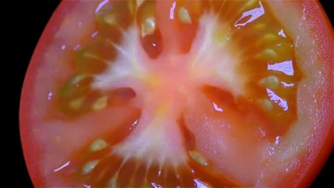 Cut Tomato Isolated on Black Background Stock Footage 91094916