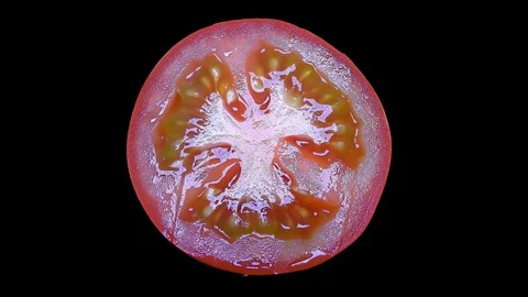 Cut Tomato Isolated on Black Background Stock Footage 91095033