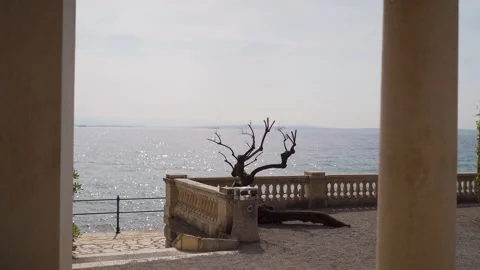 Cut town tree with stone wall at Mediterranean Sea in Croatia Stock Footage 277678634