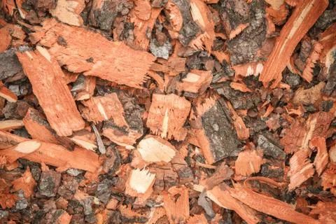 Cut off tree bark Stock Photos