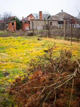 Cut tree branches in empty garden in village Stock Photos
