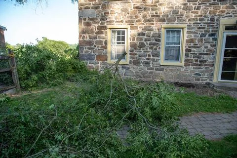 Cut tree branches with leaves in the front yard of an old stone farmhouse. Stock Photos