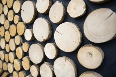 Cut tree log Wood texture background Stock Photos