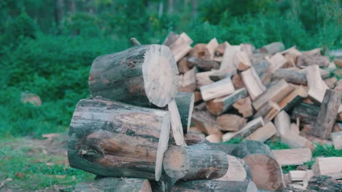 Cut Tree Logs and Chopped Firewood Pile Outdoors | Winter Fuel Preparation Video stock 333808603
