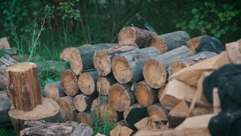 Cut Tree Logs Stacked for Firewood Processing | Forest Lumber Pile with Worker Stock Footage 315711761