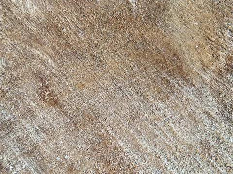 Cut tree trunk background. Timber texture closeup Stock Photos