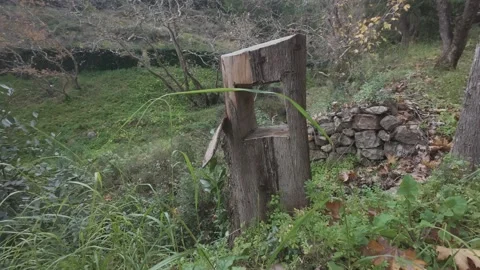 Cut tree trunk with excellent technique and abandoned stone ruins in a forest Stock Footage 338107060