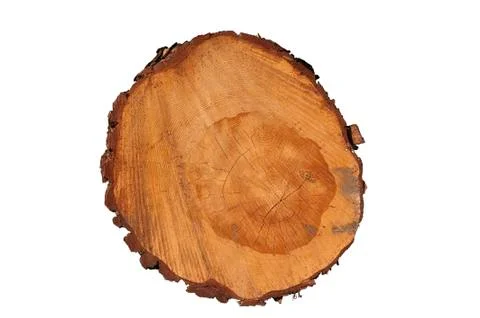 Cut tree trunk giving a view of the yearrings isolated on black background Stock Photos