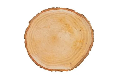 Cut tree trunk isolated on white background, top view. Stock Photos